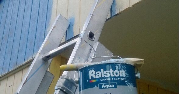 Ralston Aqua All primair pain